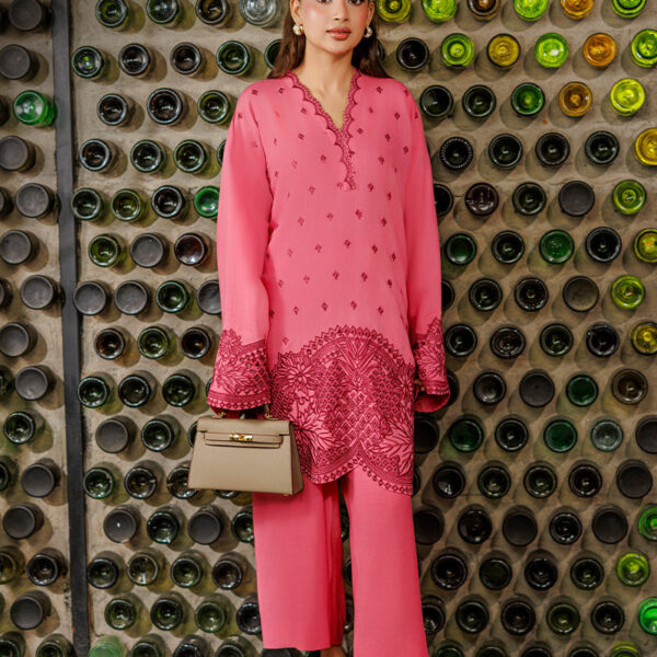 AJPB-316 Embroidered Raw Silk Stitched 2pcs